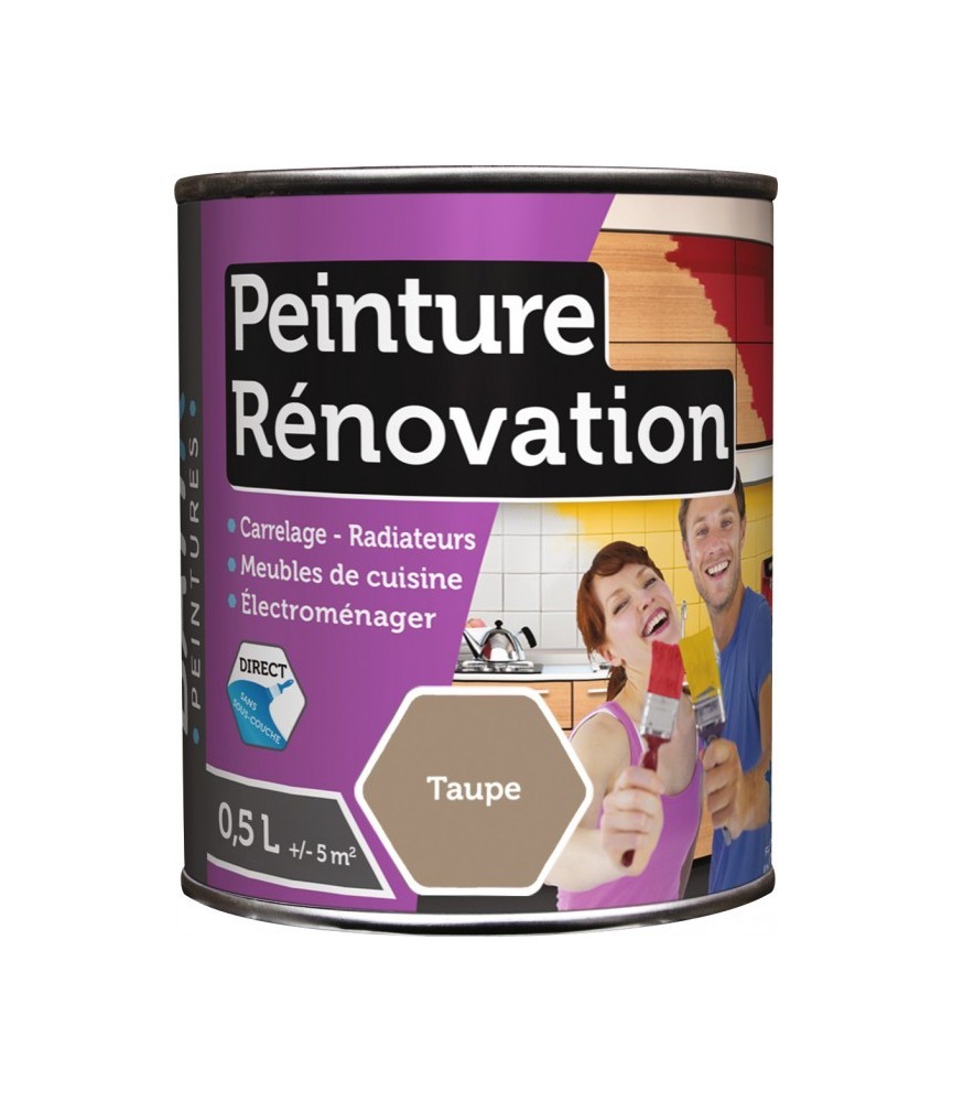 Peinture multi-surfaces - Rénovation - 0.5 L - Taupe - BATIR Peinture multi-surfaces - Rénovation - 0.5 L - Taupe - BATIR