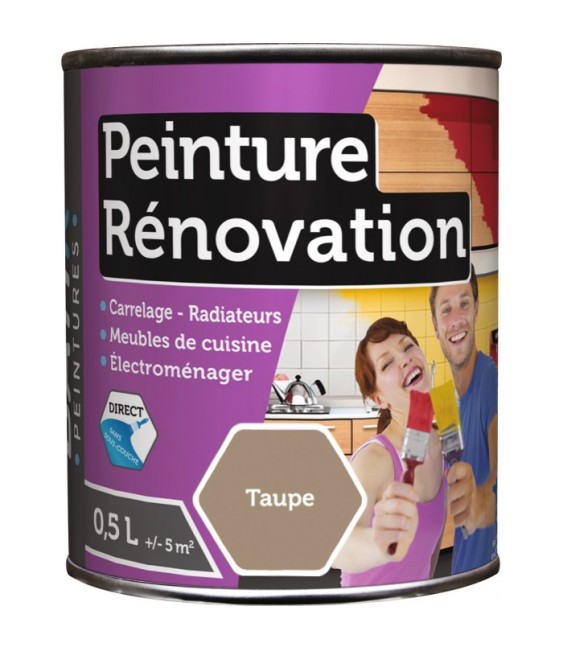 Peinture multi-surfaces - Rénovation - 0.5 L - Taupe - BATIR