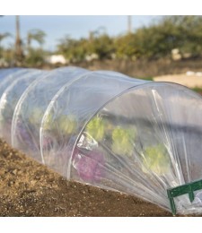 Serre tunnel accordéon pour forçage des cultures - 3 M - CATRAL