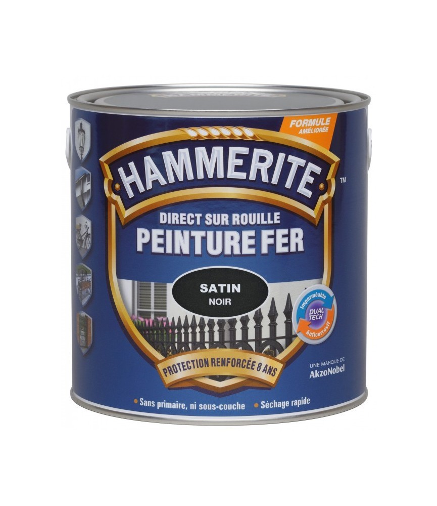 Peinture fer - Noir brillant - 750 ml - HAMMERITE
