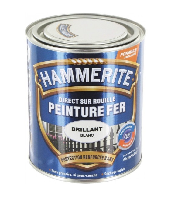 Peinture fer - Blanc brillant - 750 ml - HAMMERITE