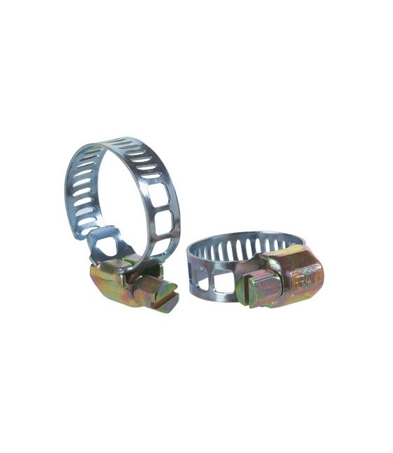 Colliers de serrage bande 24 - 36 mm à crémallière - Lot de 10 - CAP VERT