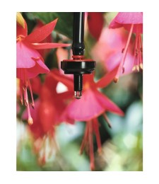 Goutteur fin de ligne autorégulant 4 L/Heure - Lot de 50 - CAP VERT