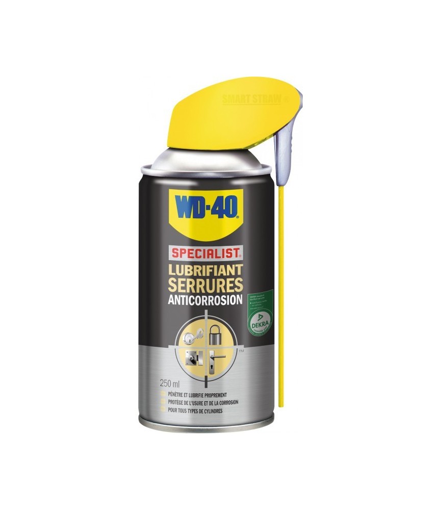 Lubrifiant serrures Anticorrosion - 250 ml - WD-40 Spécialist