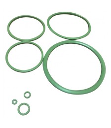 Joints Viton pour pulvérisateur C12 de Pulsen - CAP VERT