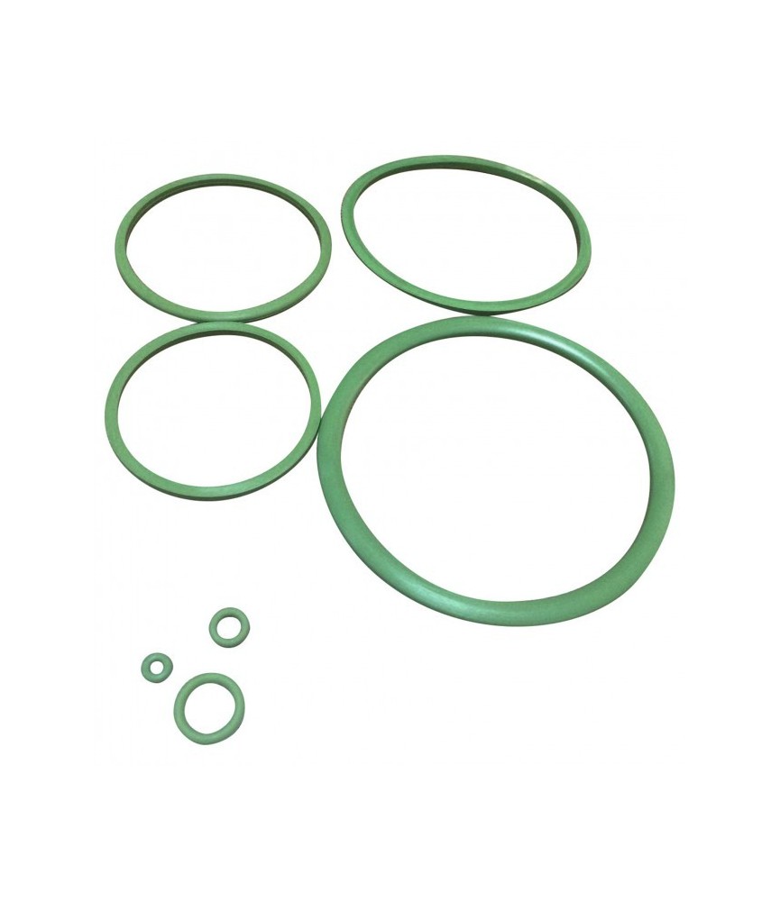 Joints Viton pour pulvérisateur C12 de Pulsen - CAP VERT Joints Viton pour pulvérisateur C12 de Pulsen - CAP VERT