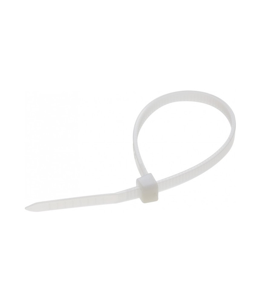 Collier de fixation intérieur - 100 x 2,5 x 18 mm - Lot de 20 - DHOME