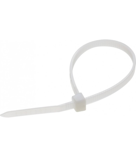 Collier de fixation intérieur - 100 x 2,5 x 18 mm - Lot de 20 - DHOME