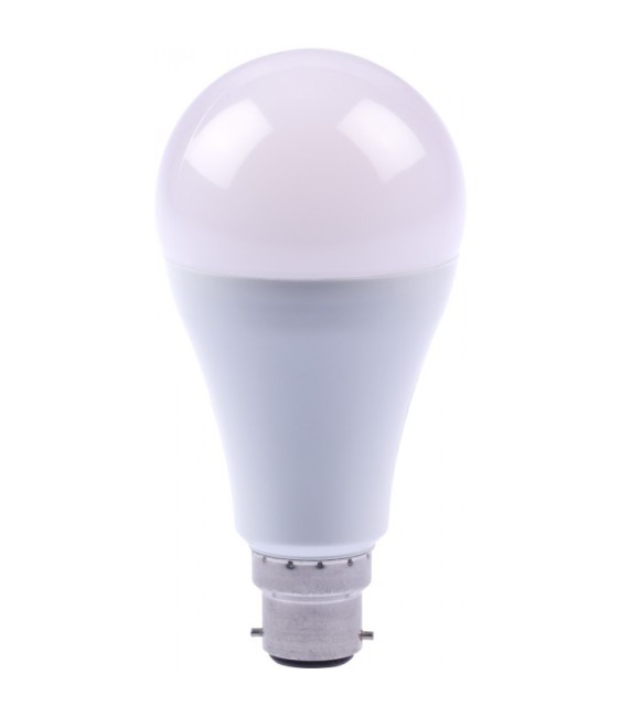 Ampoule LED - Standard - B22 - 100 W - DHOME