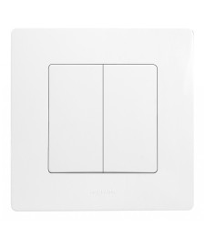 Double interrupteur ou va-et-vient avec plaque Niloé - Eclat - LEGRAND