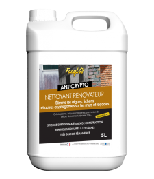 Nettoyant rénovateur mur et façade - ANTICRYPTO - 5 L - FACYL
