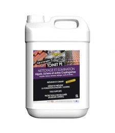 Nettoyant et traitement des toitures et facade toinet PE - 5 L - TOLEMAIL