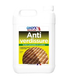 Anti verdissure - Action préventive et curative - 5 L - ONYX