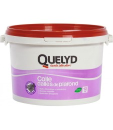 Colle pour dalle et plafond - 4 Kg - QUELYD
