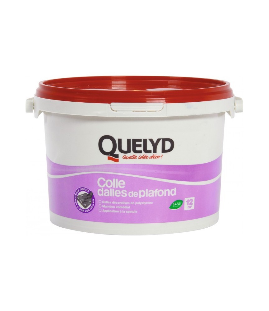 Colle pour dalle et plafond - 4 Kg - QUELYD