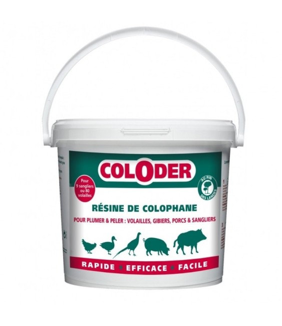 Coloder - Résine de Colophane - 3.5 Kg - SANITERPEN