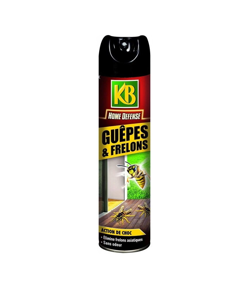 Aérosol spécial guêpes frelons - Home défense - 400 mL - KB