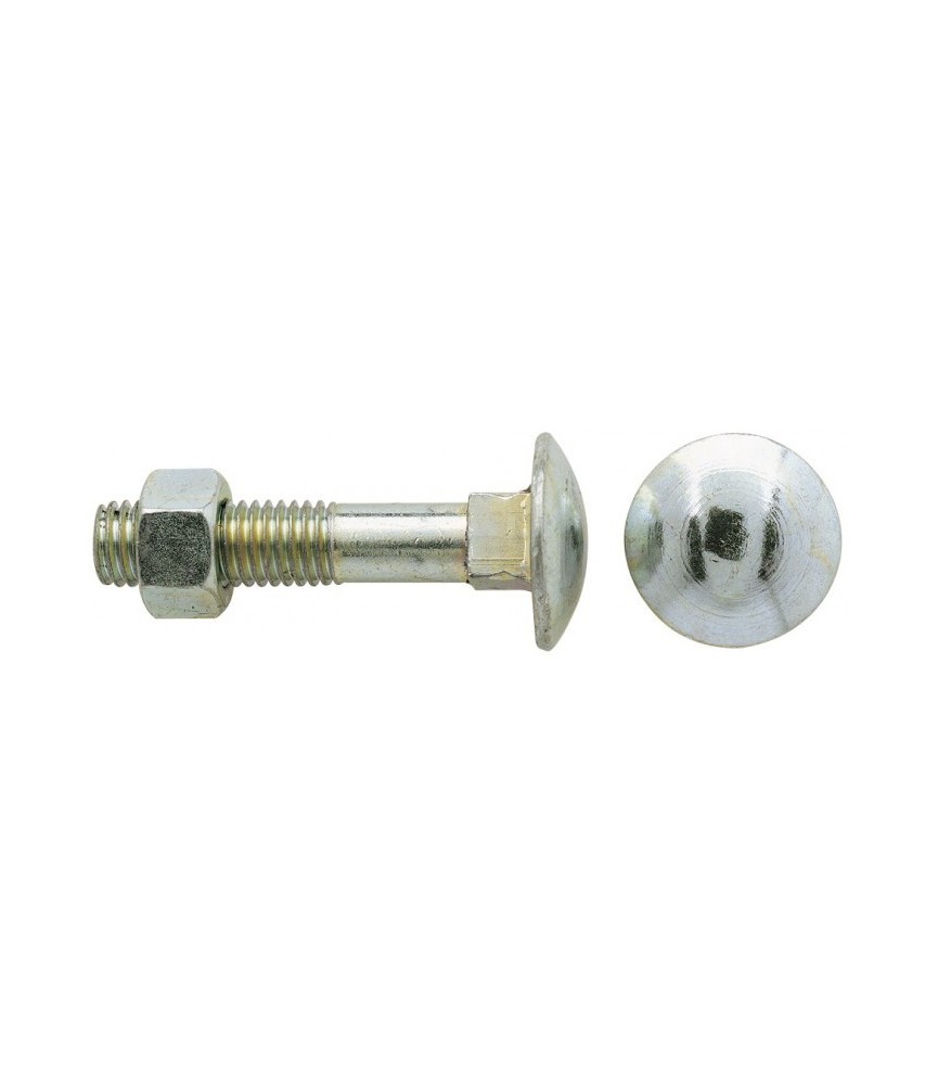Boulon Japy Tête ronde Collet carré Zingué blanc - 6 x 20 mm - Boîte de 500 - GFD Boulon Japy Tête ronde Collet carré Zingué blanc - 6 x 20 mm - Boîte de 500 - GFD