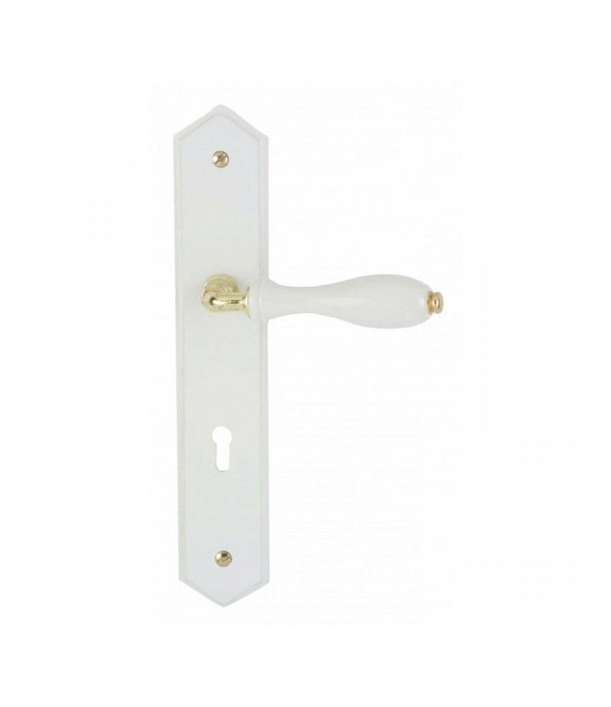 Poignée de porte - Laqué Blanc - CLE L entraxe 195 mm - DT 2000 Poignée de porte - Laqué Blanc - CLE L entraxe 195 mm - DT 2000