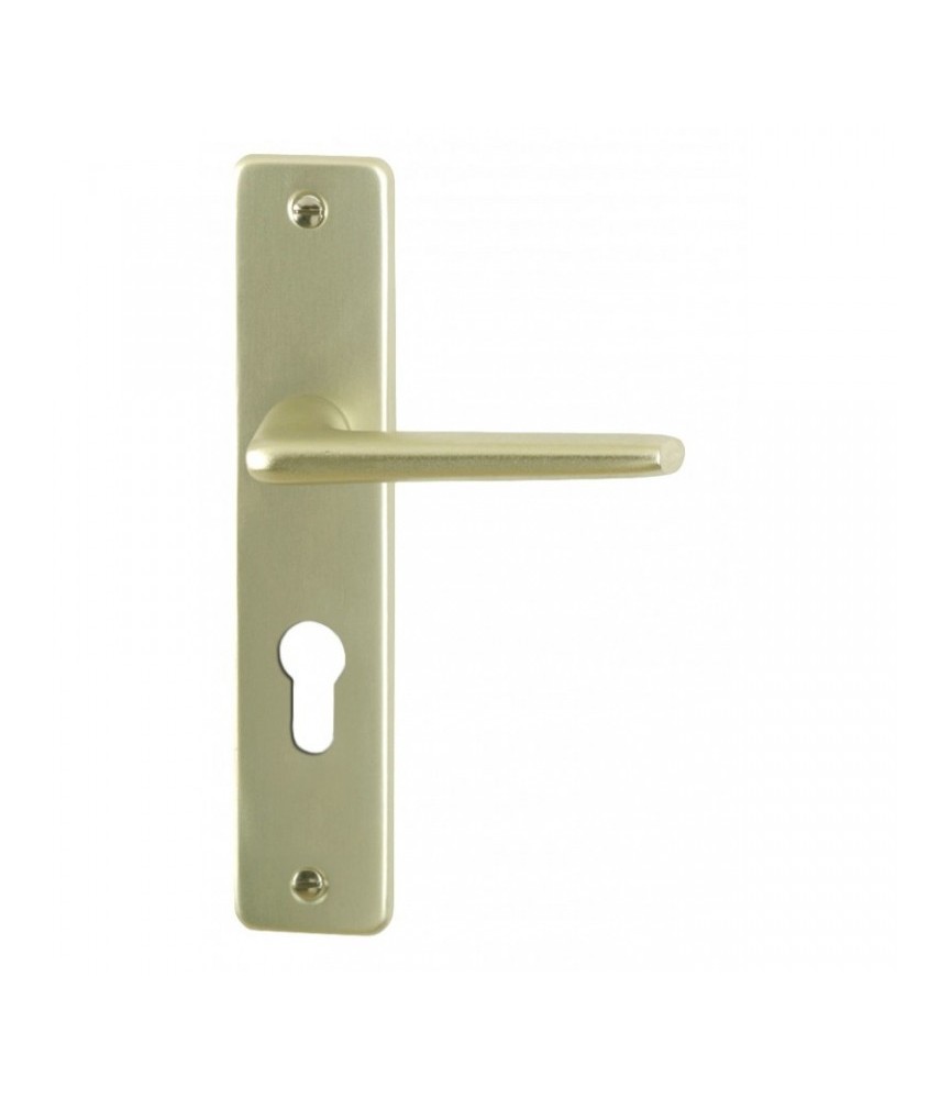 Poignée de porte - Aluminium Champagne - Serrure cylindre - Entraxe 165 mm - DT 2000