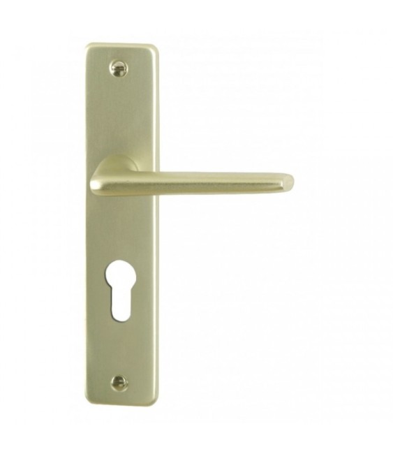 Poignée de porte - Aluminium Champagne - Serrure cylindre - Entraxe 165 mm - DT 2000