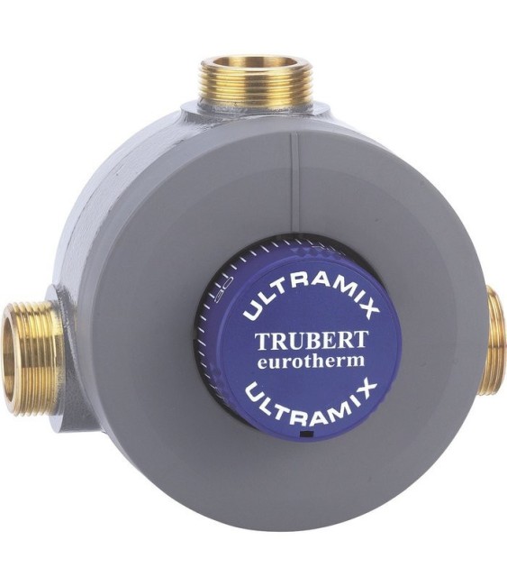 Mitigeur thermostatique collectif Trubert Eurotherm - Débit 56 à 400 l/min - Mâle 2" - WATTS