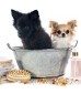 Animaux
