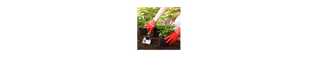 Gants de jardinage