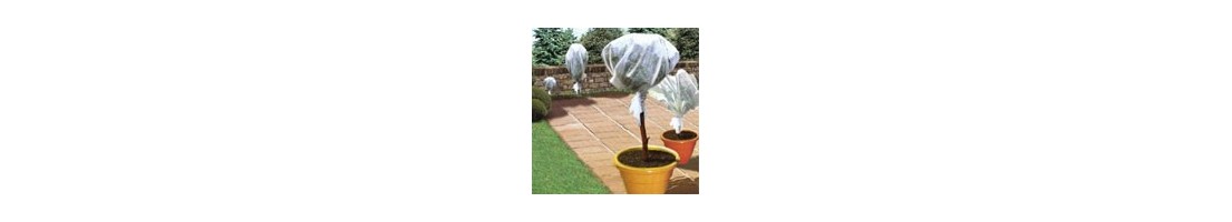 Protection des plantes