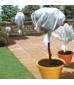 Protection des plantes