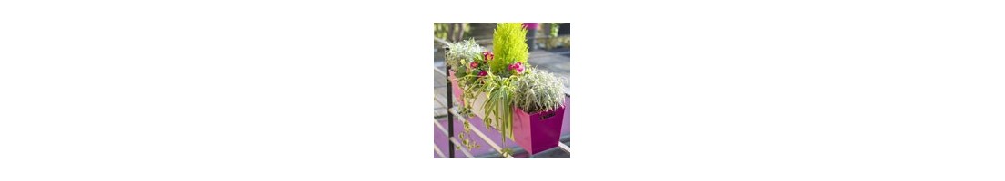 Jardinières et suspensions