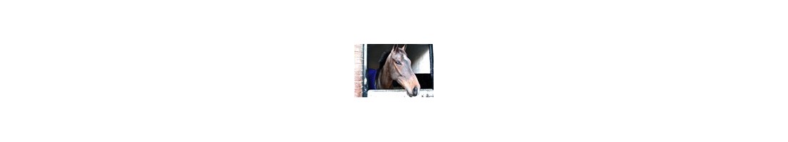 Accessoires et articles pour les chevaux