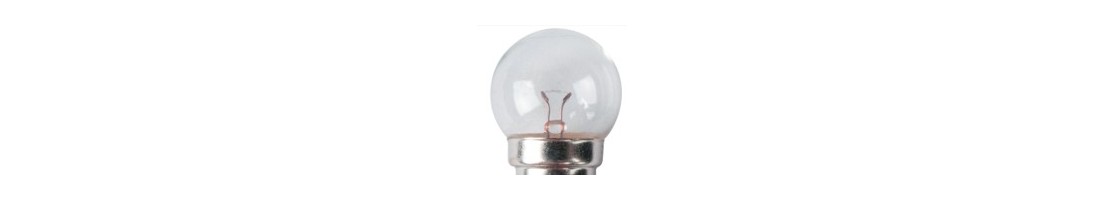 Ampoules pour torches et lampes de poche