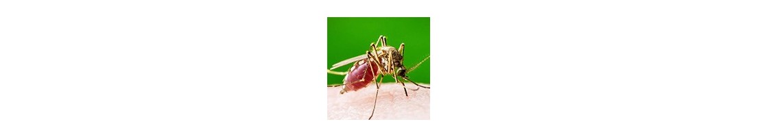 Répulsifs contres les insectes volants - Protection contres les insectes