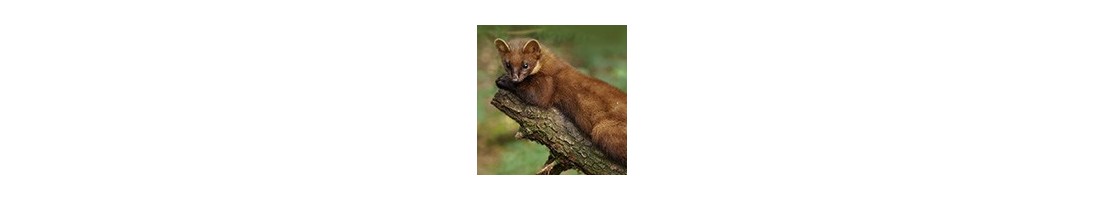 Répulsifs et solutions contre les taupes, les serpents, les volatiles, etc...