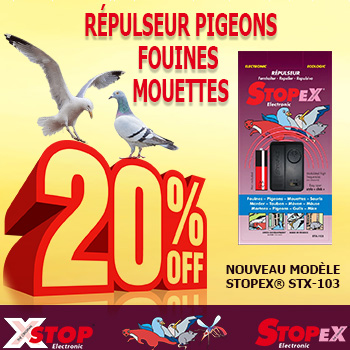 Répulseur pigeons et mouettes - Nouveau modèle STOPEX