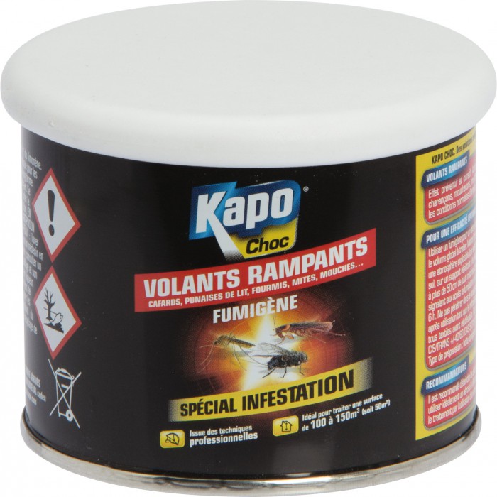 Fumigène tout insecte 50 g KAPO Vert, 1455948