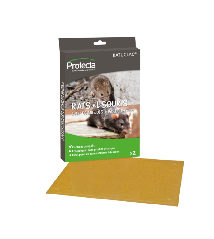 PIEGE A GLU RAT SOURIS PROTECT EXPERT X2