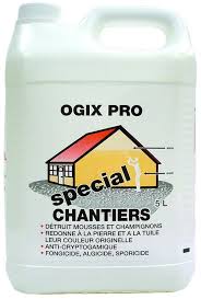 OGIX - Javel travaux professionel chantier 5L