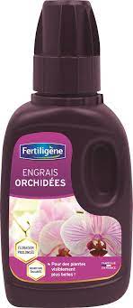 Substral engrais liquide orchidées 250ml