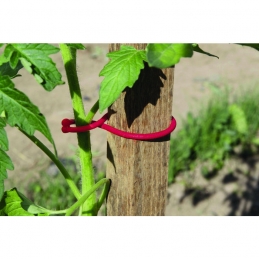 Clip de fixation pour plants de tomates - Lot de 25 - NORTENE