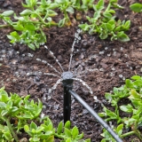 Fontaine réglable 360° - Lot de 10 - RAINDRIP
