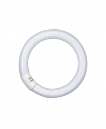 Tube fluocompact circulaire Luminux T9 C 40 W - Blanc industriel - 4 000 K - OSRAM