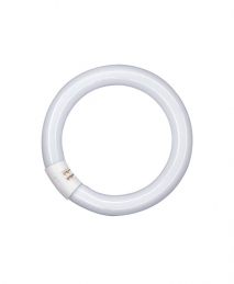 Tube fluocompact circulaire Luminux T9 C 40 W - Blanc industriel - 4 000 K - OSRAM