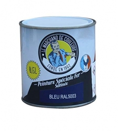 Peinture Spécial Fer - Satinée - Bleu - 0.5 L - ONIP