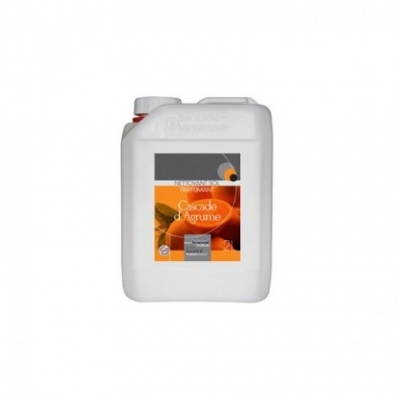 Nettoyant sol désinfectant parfumant Agrume Brioxol 2 L