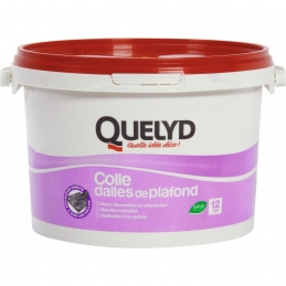 Colle pour dalle et plafond - 4 Kg - QUELYD