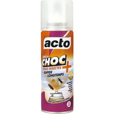  Aérosol choc tous insectes - Aérosol 100 ml - ACTO