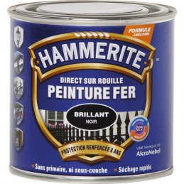 Peinture Fer Direct sur rouille Mat - Noir - 250 ml - HAMMERITE