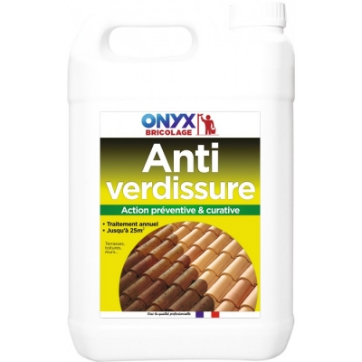 Anti verdissure - Action préventive et curative - 5 L - ONYX